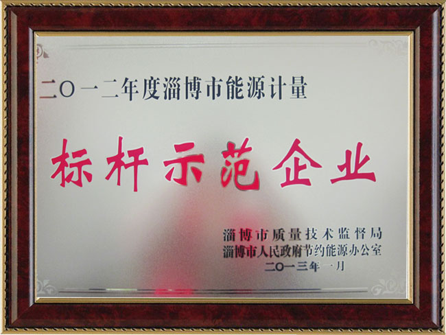 2012年度淄博市能源計量標桿示范企業
